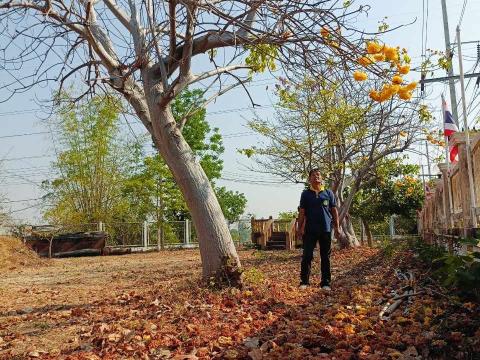 #วันดินโลก world Soil Day#