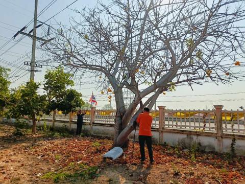 #วันดินโลก world Soil Day#