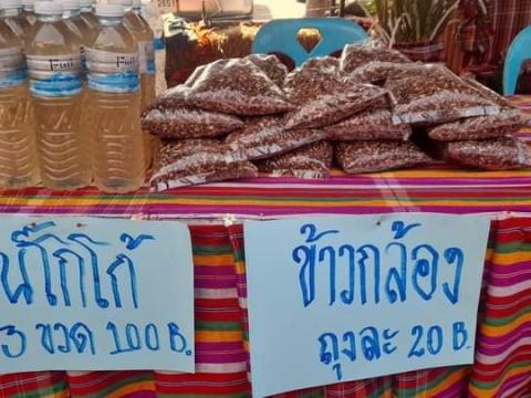 เทศกาลกินปลาน้ำมูล