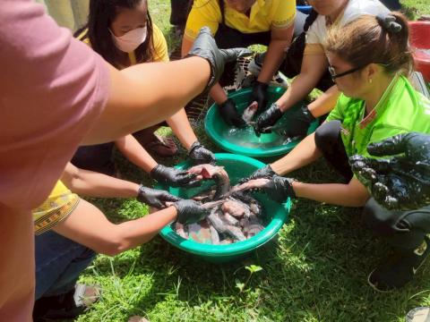 โครงการฝึกอบรมส่งเสริมอาชีพตำบลร่อนทอง ประจำปีงบประมาณ พ.ศ. 2568