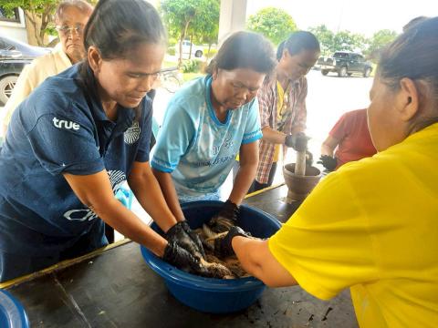 โครงการฝึกอบรมส่งเสริมอาชีพตำบลร่อนทอง ประจำปีงบประมาณ พ.ศ. 2568